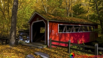 Southford Falls 11-1-2018-45