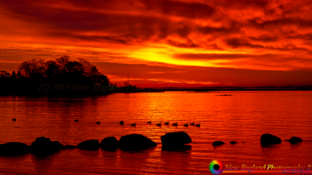 Stamford-Sunrise-1-11-2013-20