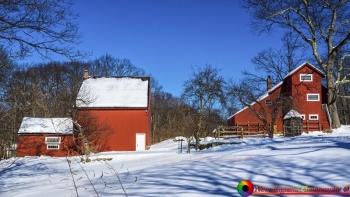 tn_Litchfield Connecticut 2-7-2014-5