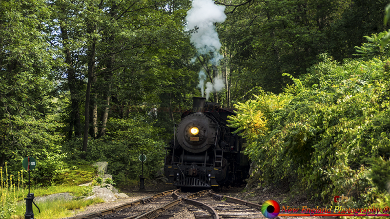 Essex Steam Train -6