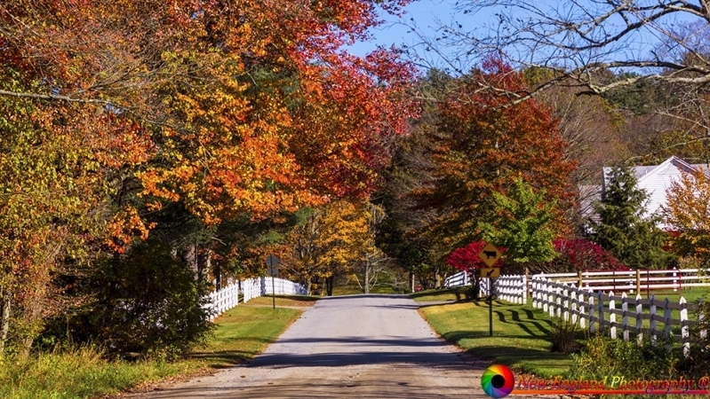 Litchfield Connecticut 10-27-2017-45