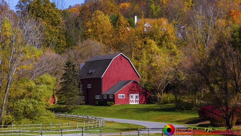 Saddle Ridge Farm Kent Connecticut 10-27-2017-21