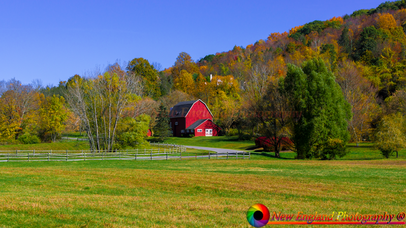 Saddle-Ridge-Farm-Kent-Connecticut-10-27-2017-27
