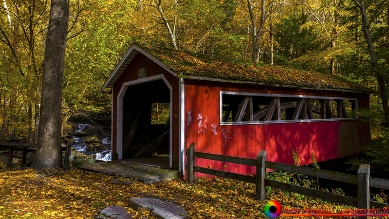 Southford Falls 11-1-2018-45