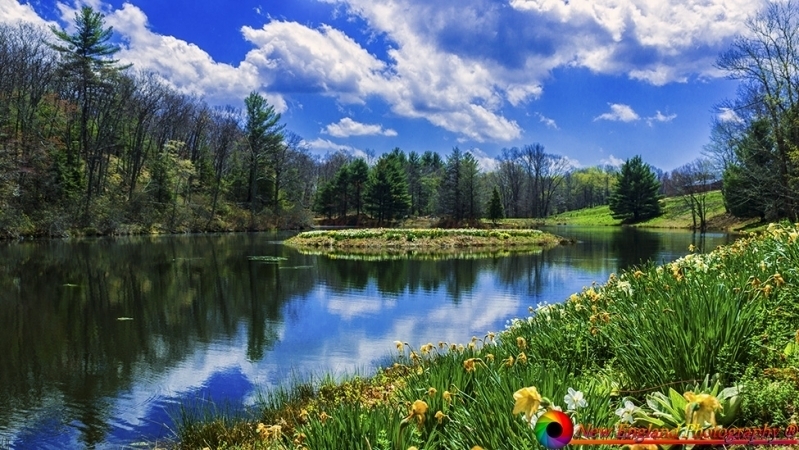 tn_Litchfield CT 4-28-2017-127
