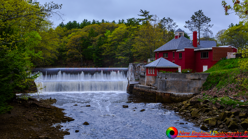 Along the side of the road near Belfast Maine. 5 DE-Maine-5-22-2018-65