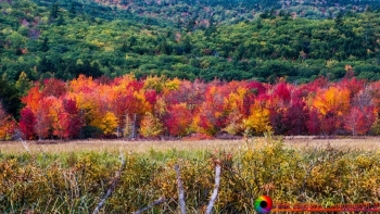 Acadia National Park 10-8-2018-9