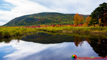 Acadia-National-Park-10-9-2019-50