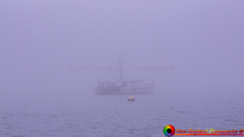 Bar Harbor Maine-4