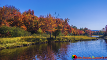 Boothbay Region 10-9-2016-8