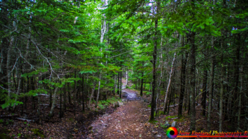 Great-Head-Trail-6-24-2012-55