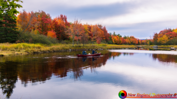 MDI-10-10-2019-22