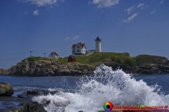 Nimble-Light-5-26-2010-104
