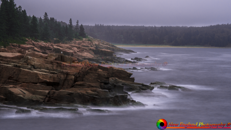 ANP-6-23-2012-22-2-Edit