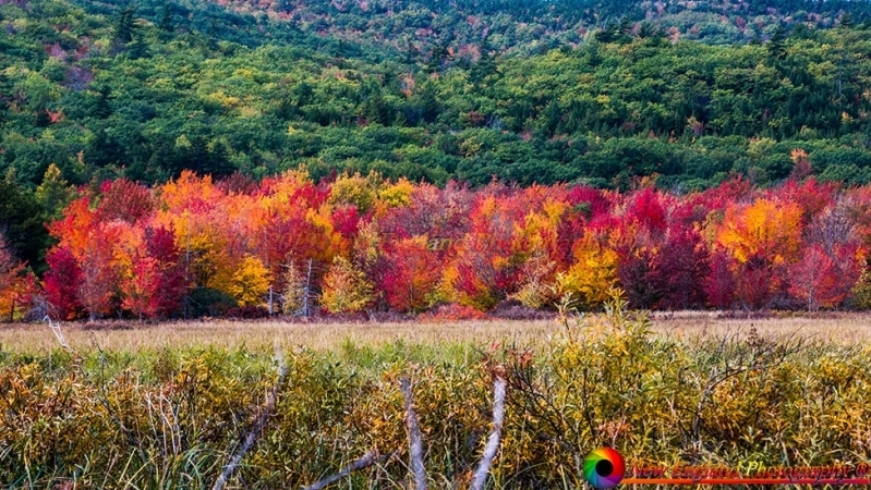 Acadia National Park 10-8-2018-9