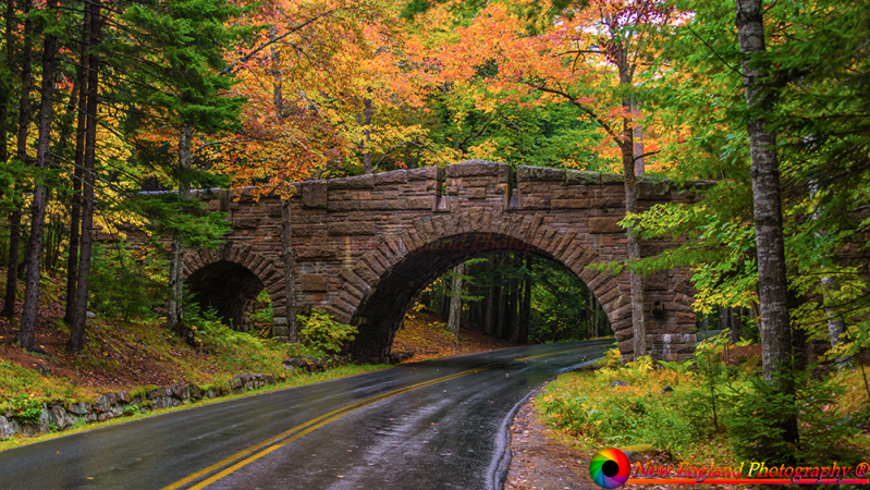 Acadia-National-Park-10-9-2017-41-Edit