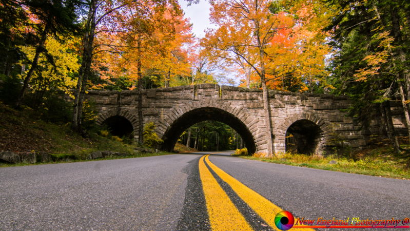 Acadia-National-Park-10-9-2019-44