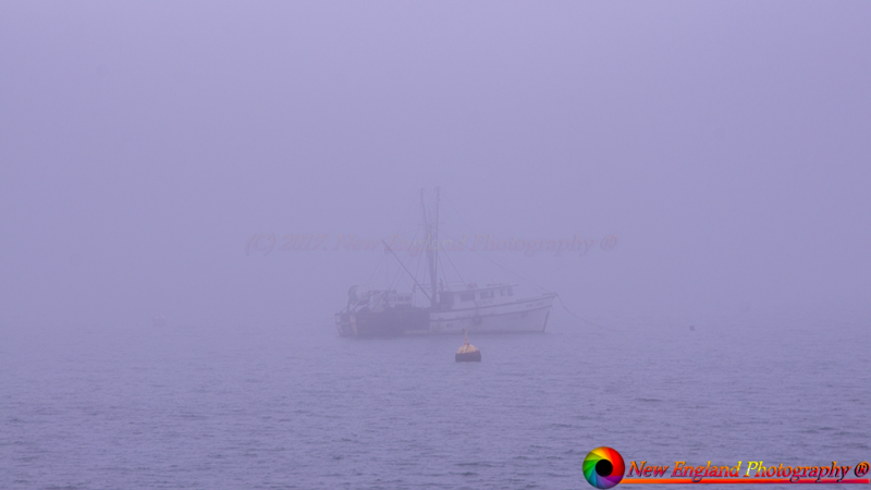 Bar Harbor Maine-4