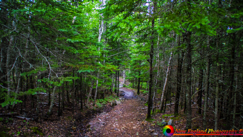 Great-Head-Trail-6-24-2012-55