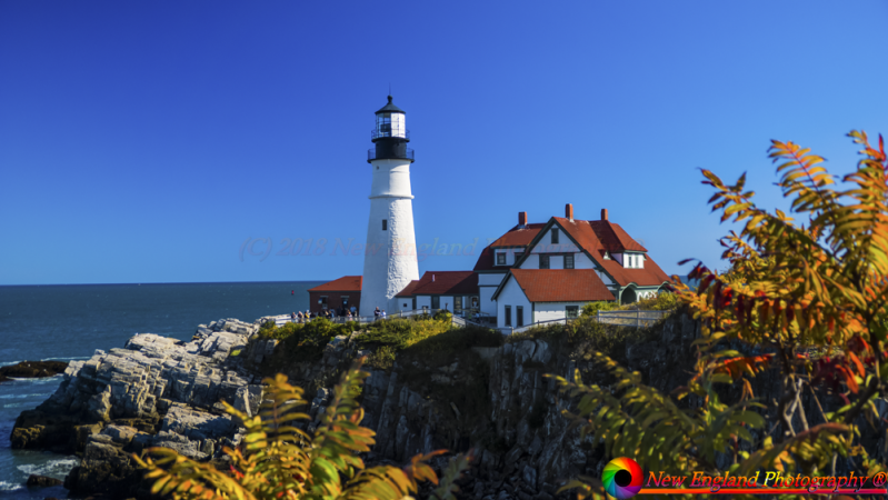 Portland-Light-10-6-2018-54