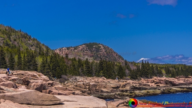 tn_Acadia 5-19-2017-25