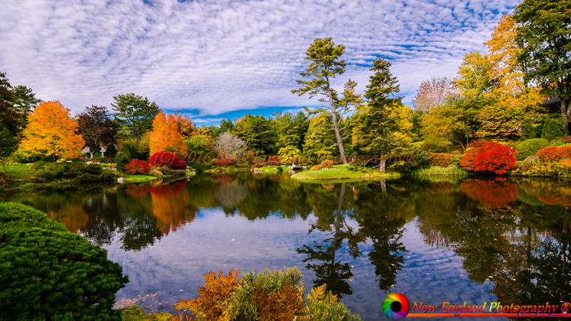 tn_Asticou Azalea Garden 10-12-2016-18