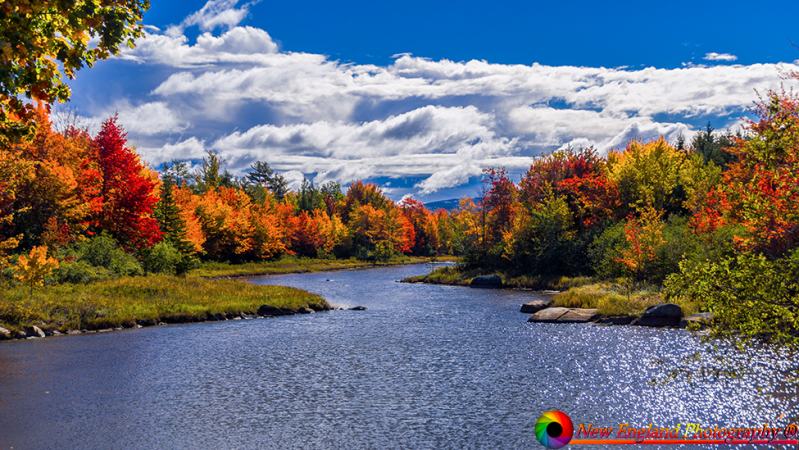 tn_Bar Harbor Maine 10-10-2016-10