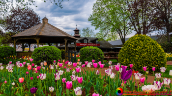 Yankee-Candle-Deerfield-MA-5-10-2018-7