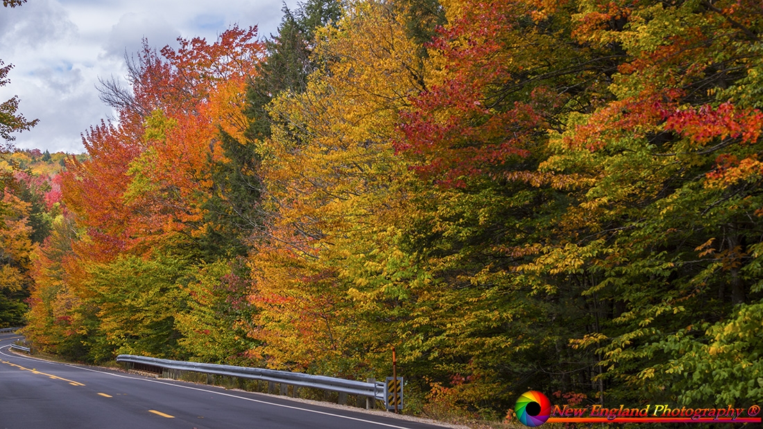 Foliage-along-The-Kang-10-1-2026-13-Edit