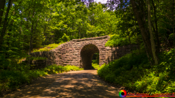 Carlton-Covered-Bridge-6-21-2014-4