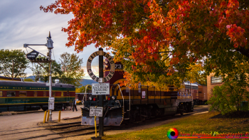 Conway-Scenic-Railroad-10-3-2013-197