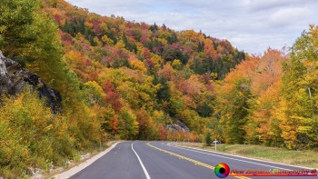 Foliage-along-The-Kang-10-1-2026-8-Edit