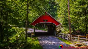 Franconia-Notch-7-6-2011-092