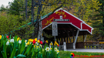 Jackson-Covered-Bridge-5-11-2018-39