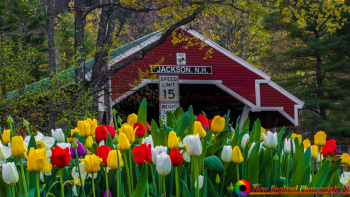 Jackson-Covered-Bridge-5-11-2018-54
