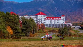 Mount-Washington-Hotel-Horses-October-6-2022-6