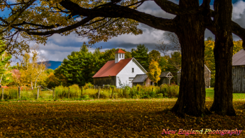 Muster Field Farm 10-14-2014-92