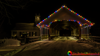 Stark-New-Hampshire-12-7-2020-40