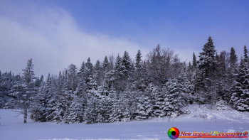 White-Mountains-1-5-2020-34