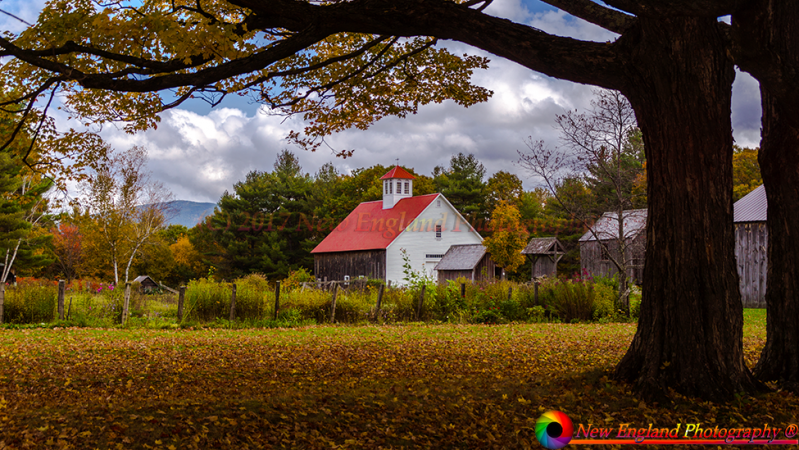 Muster-Field-Farm-10-14-2014-53