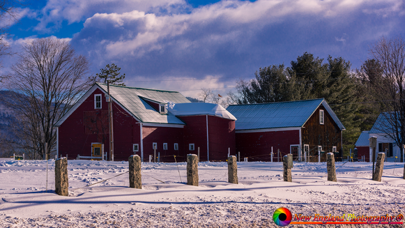 White-Mountains-1-5-2020-1-Edit-Edit