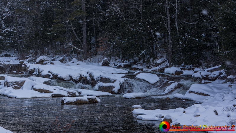 White-Mountains-1-5-2020-17