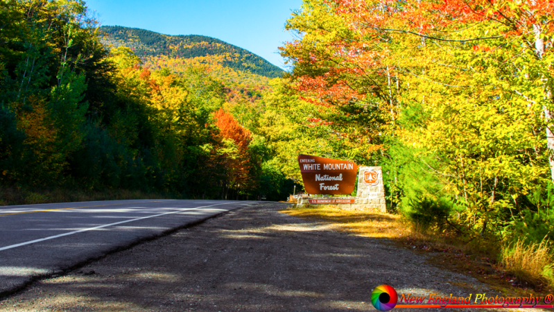 White-Mountains-10-5-2019-22-Edit-2