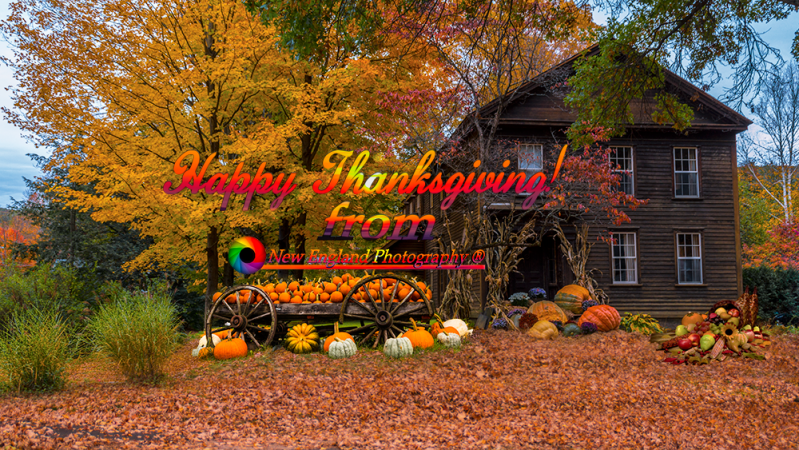 NEP-Happy-Thanksgiving-V5