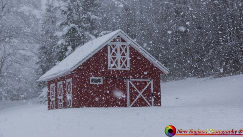 Berlin-Vermont-Barn-4-16-2021-Snow-24