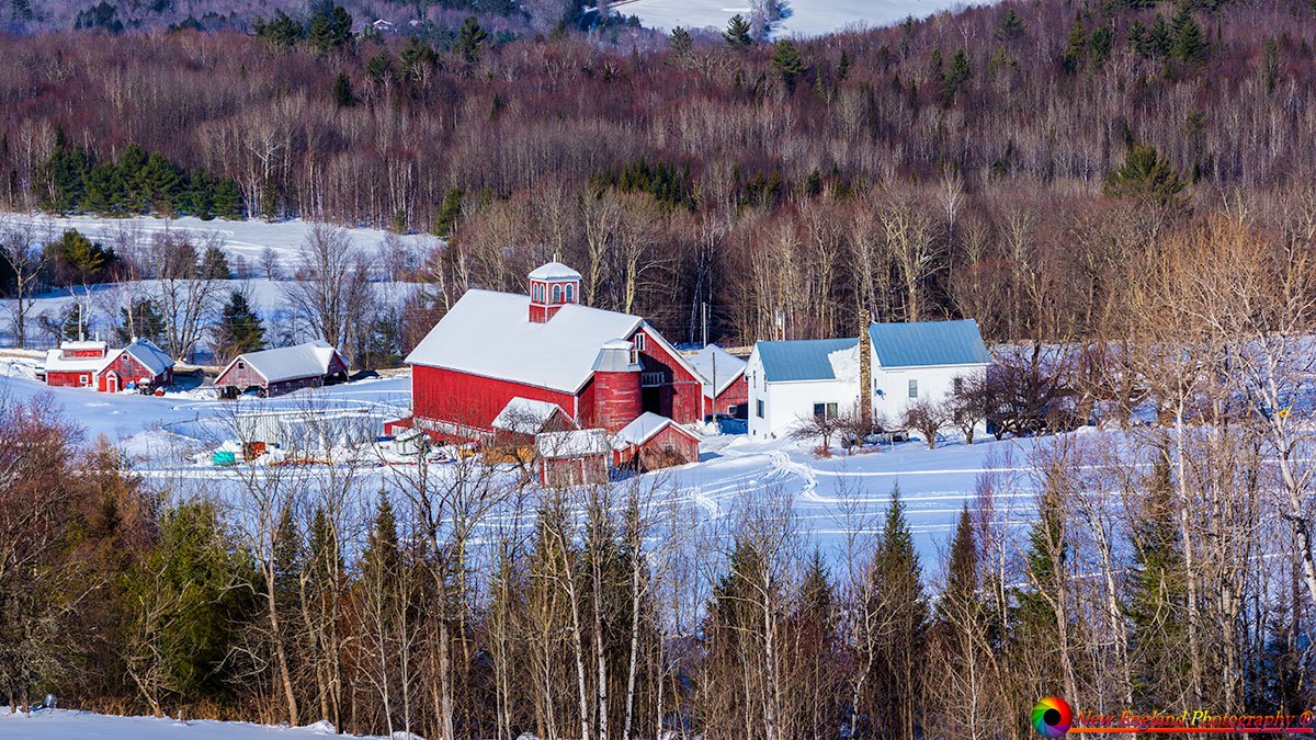 Bogie-Mountain-Farm-Rugate-Vermont-2-22-2025-9