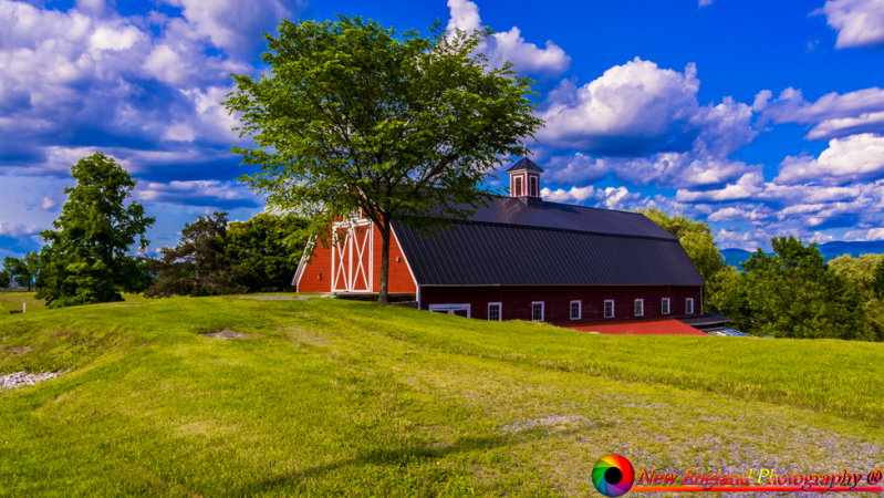 Greenrange-Farm-Sudbury-Vermont-6-22-2019-39-Edit