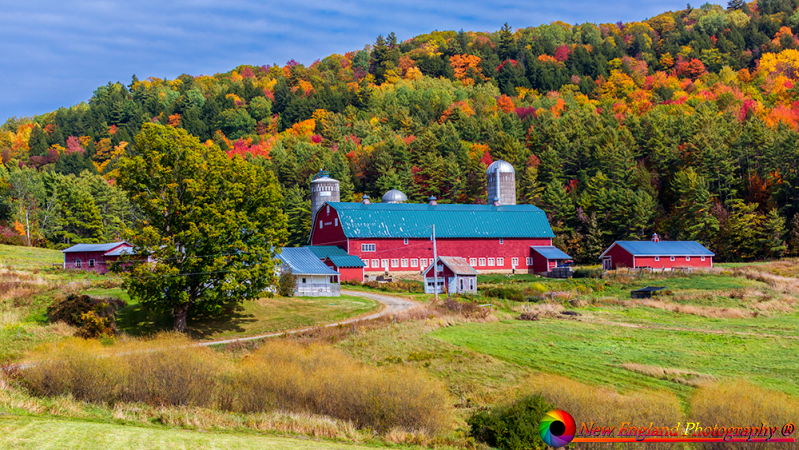 Hillside-Acres-Farm-Barnet-Vermont-9-25-2020-7