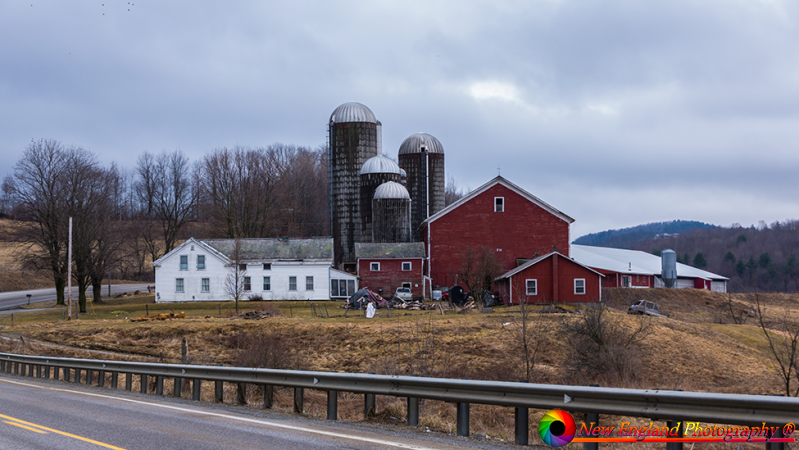 Pawlet-Vermont-Dairy-Farms-4-6-2019-10