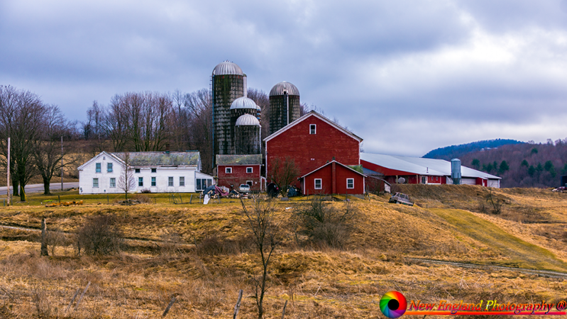 Pawlet-Vermont-Dairy-Farms-4-6-2019-14
